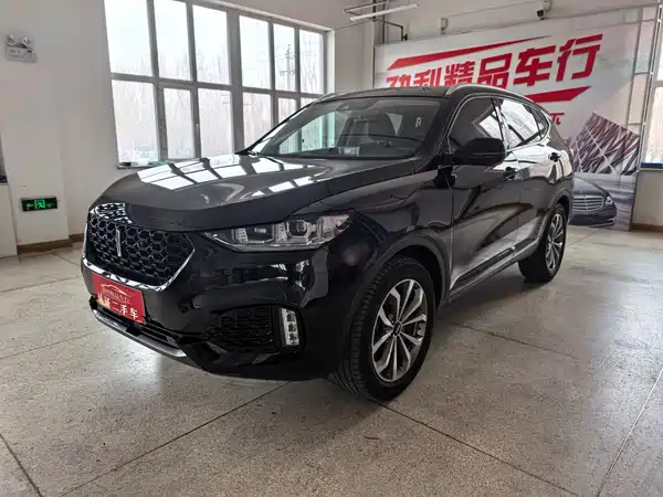 Wey VV6 2019