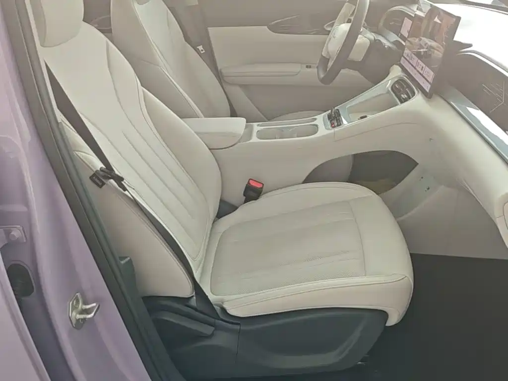 Geely Galaxy Starwish 2025 — фото 25