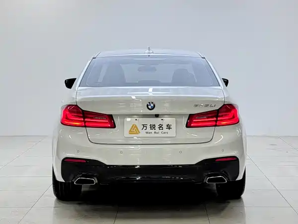 BMW 5 Series 2019
