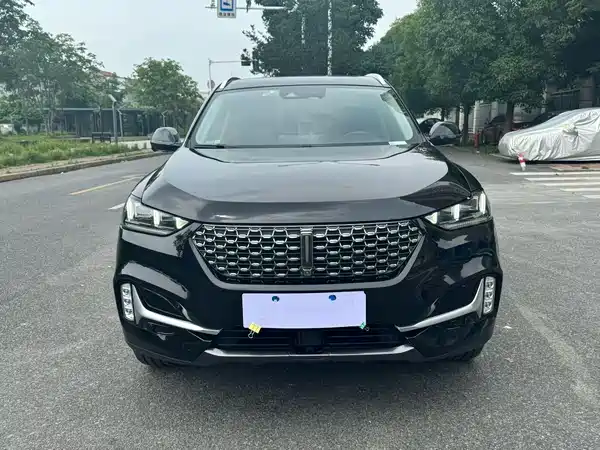 Wey VV6 2020