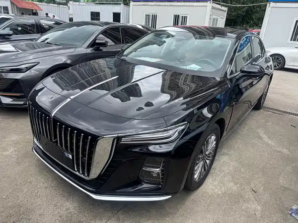 Hongqi H5 2023