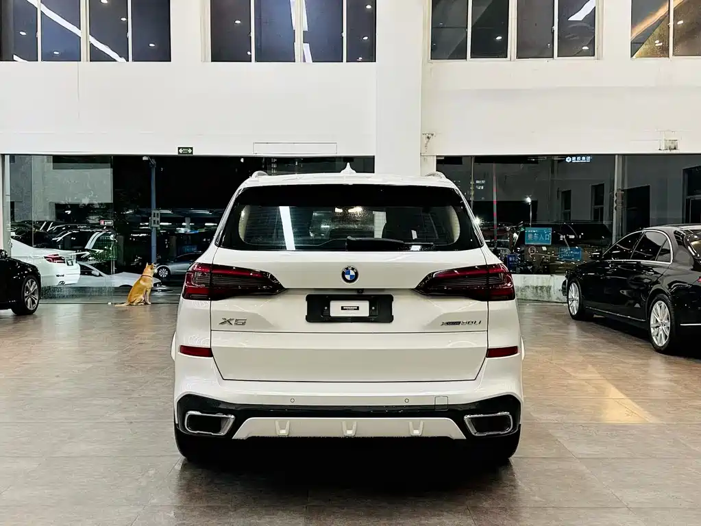 BMW X5 2022 — фото 5