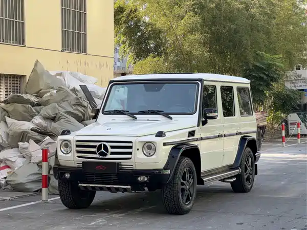 Mercedes-Benz G-Class 2010