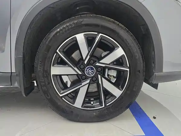 BYD Song Pro New Energy 2024