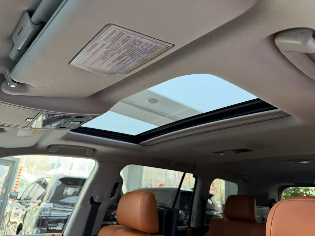 Lexus LX 2019 — фото 18