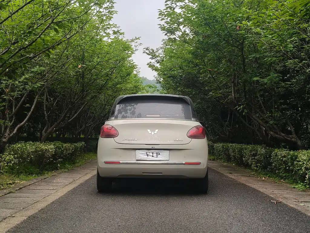 Wuling Bingo 2024