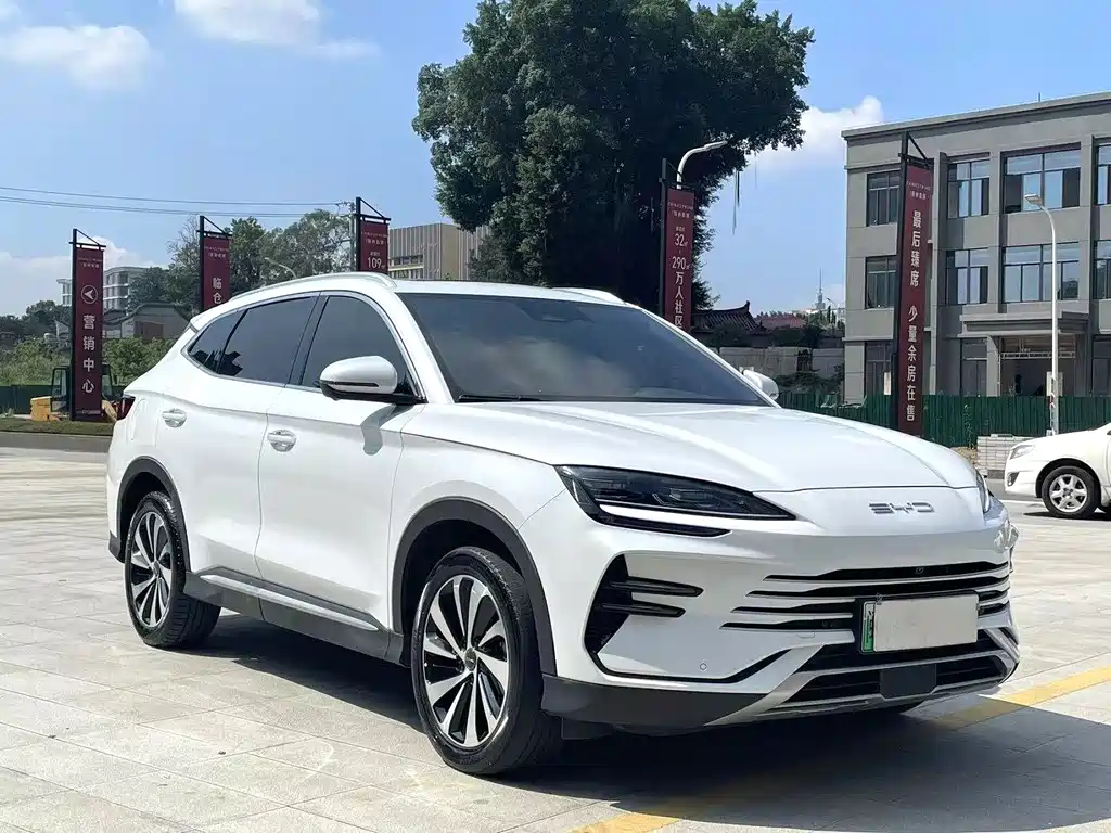 BYD PLUS New Energy 2023 — фото 3