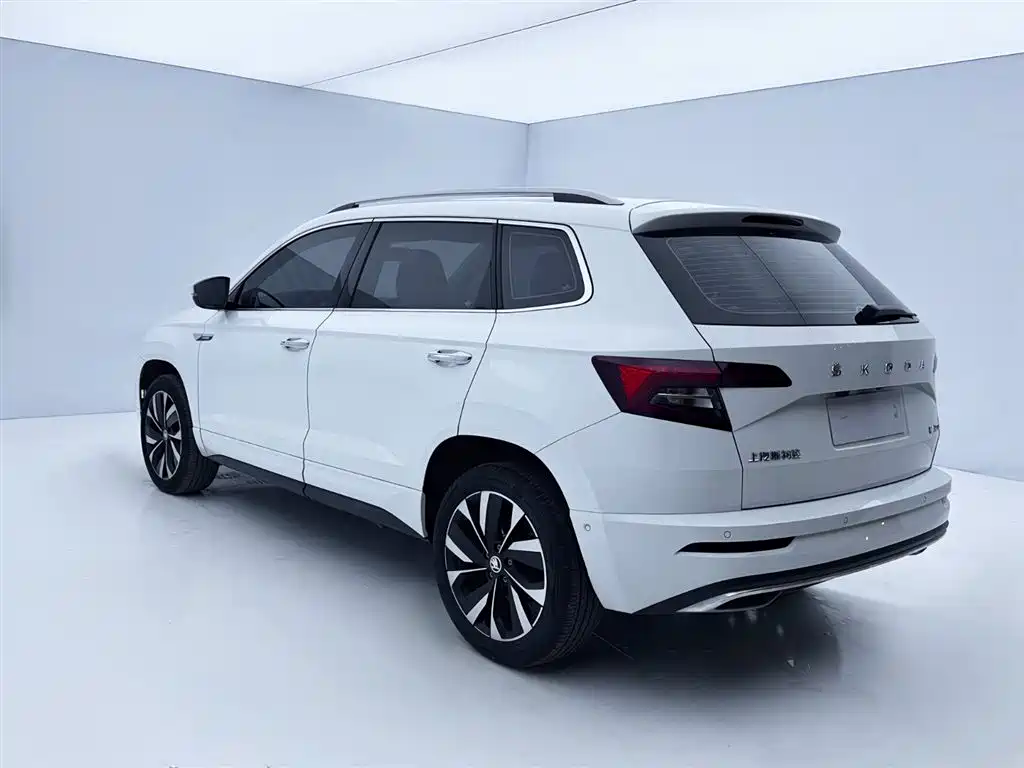 Skoda Karoq 2024 — фото 6