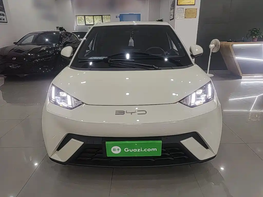 BYD Seagull 2024