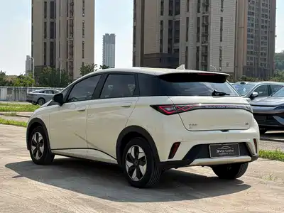 BYD Dolphin 2025
