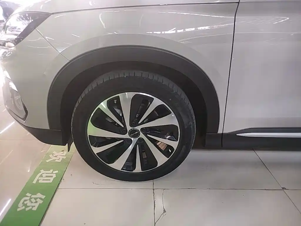 BYD Song PLUS New Energy 2024 — фото 23