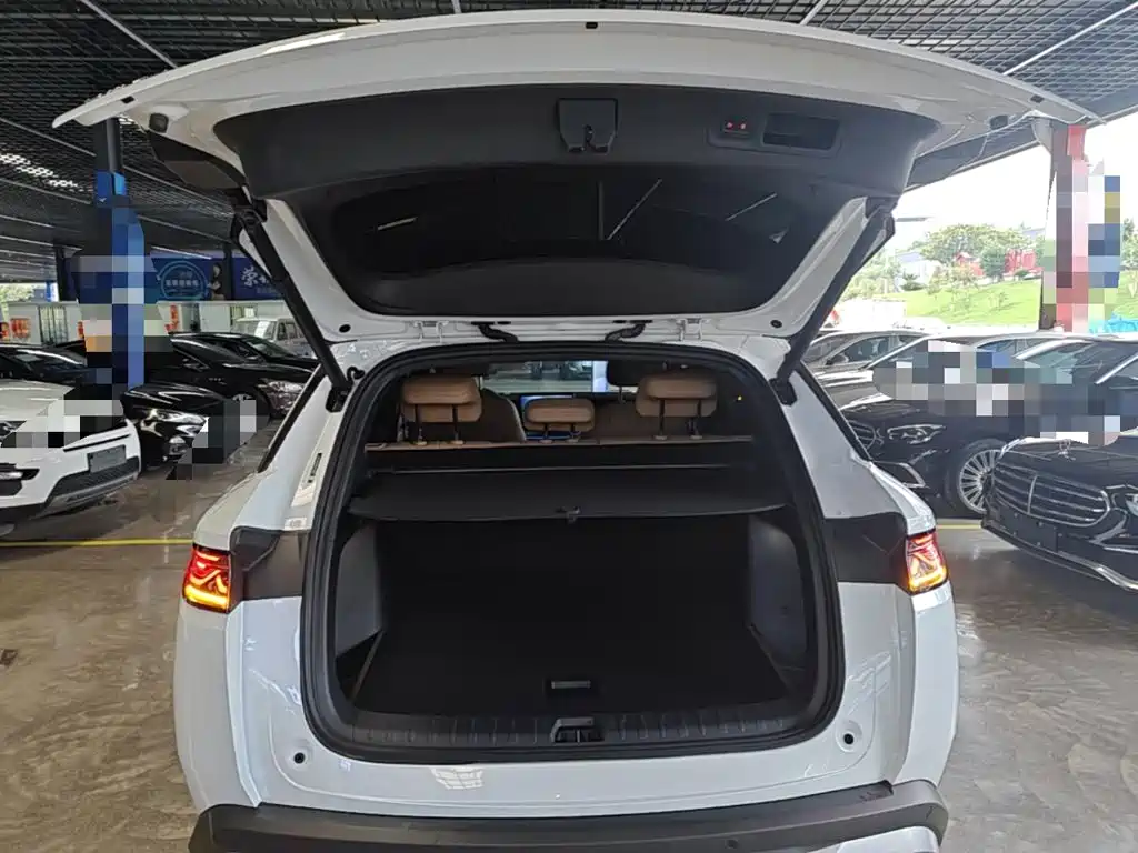 BYD L DM-i 2024 — фото 19