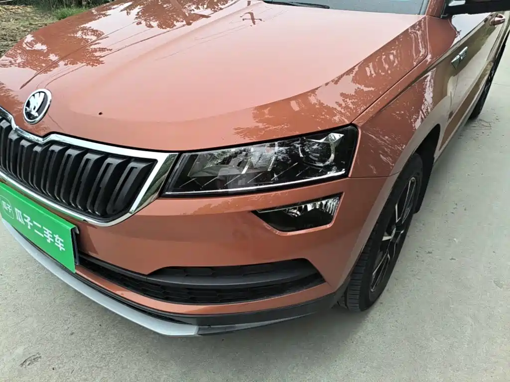 Skoda Karoq 2018 — фото 24