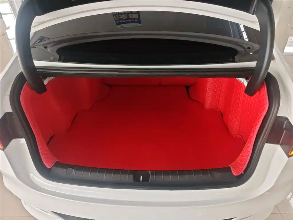 BYD Qin PLUS 2022 — фото 15