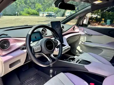 BYD Dolphin 2024