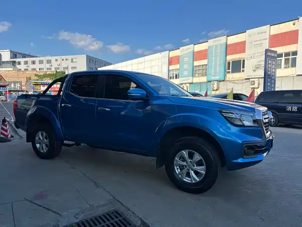 Dongfeng Ruiqi 2019