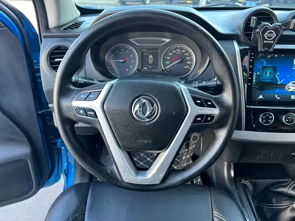 Dongfeng Ruiqi 2019