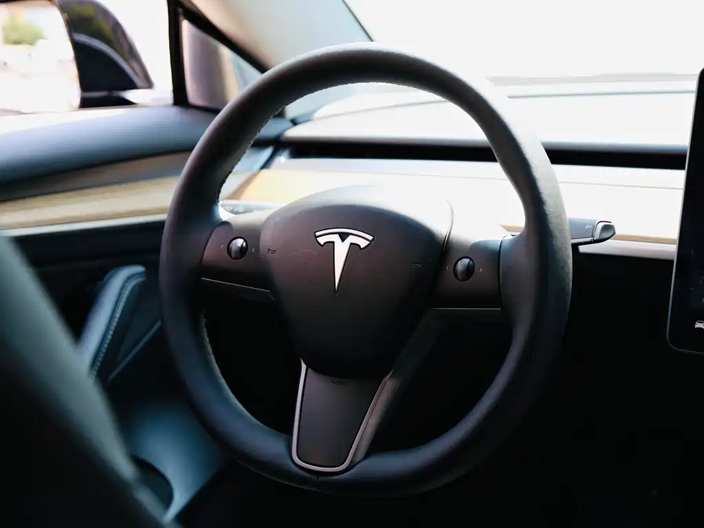 Tesla Model 3 2021 — фото 11