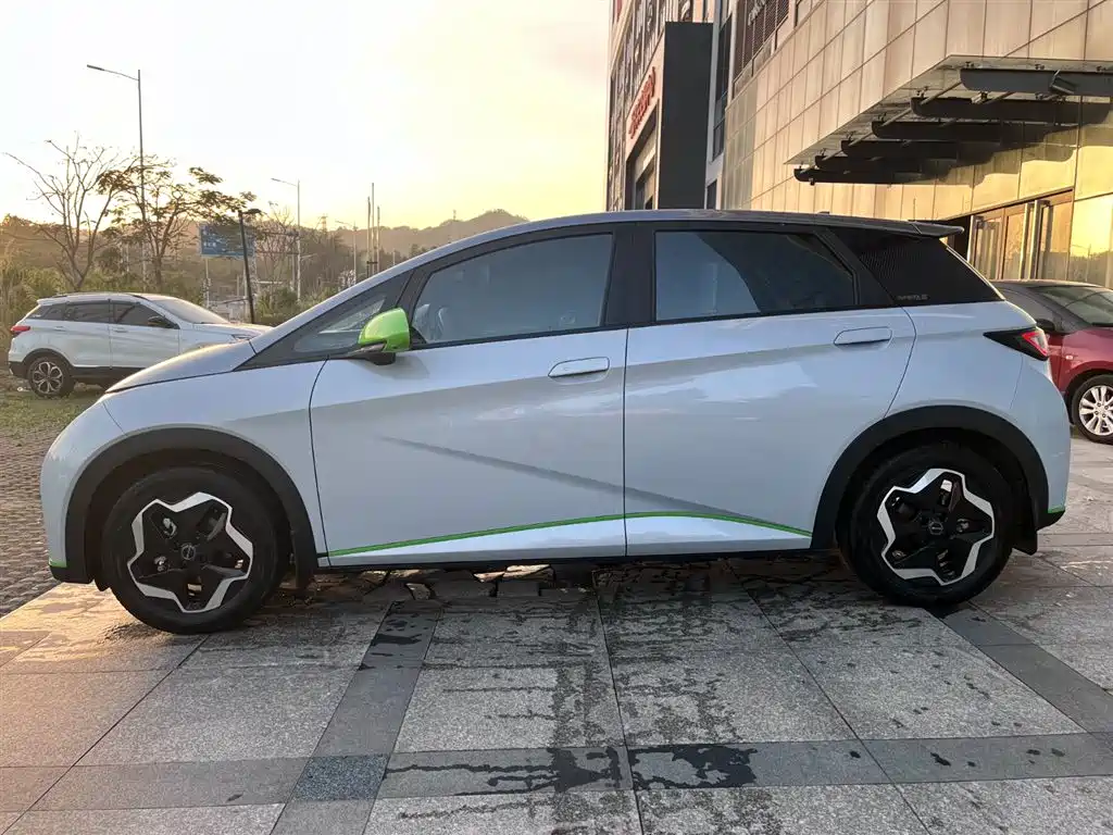 BYD Dolphin 2021