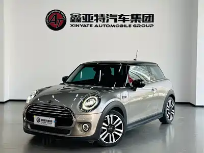 MINI MINI 2019