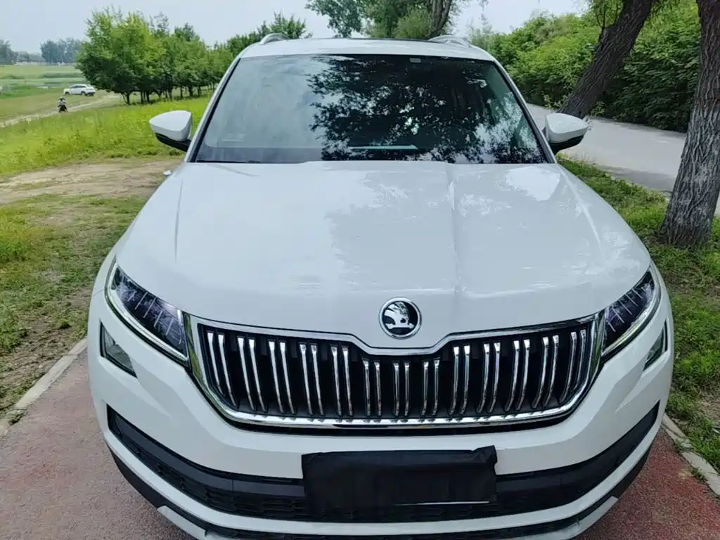 Skoda Kodiaq 2021 — фото 3