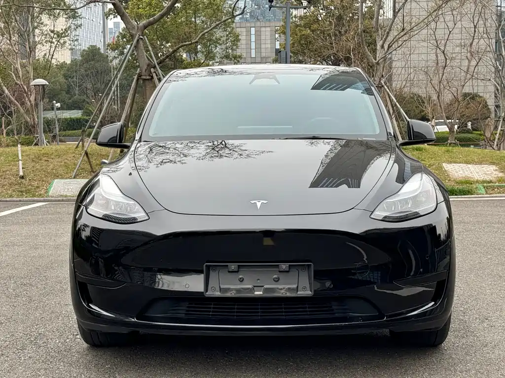 Tesla Model Y 2023 — фото 2
