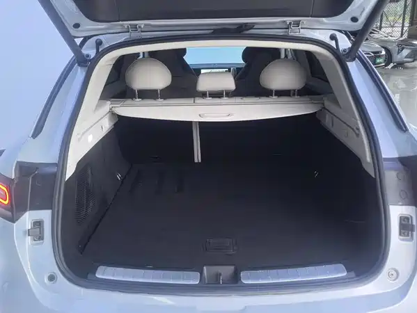 Leapmotor C11 2022