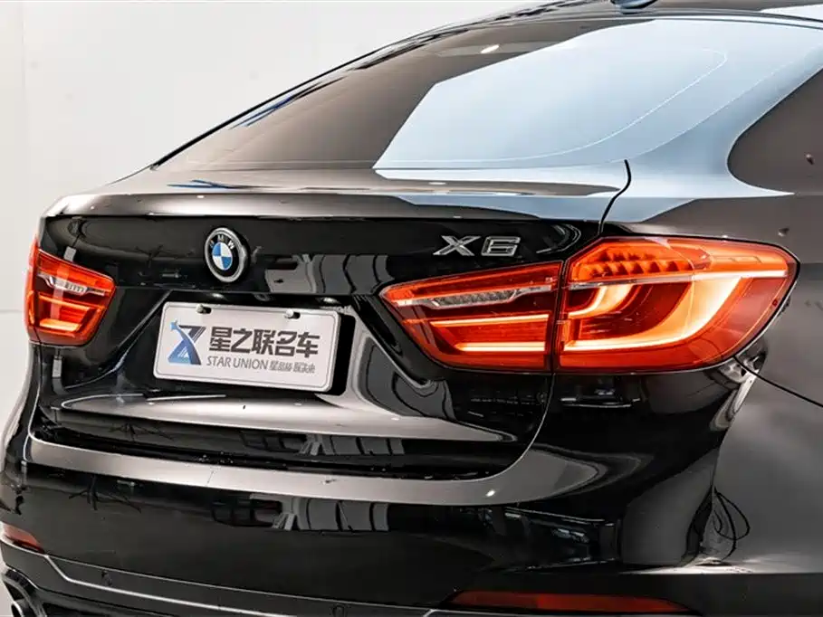 BMW X6 2019 — фото 9