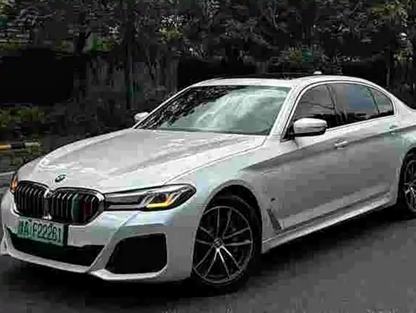 BMW 5 Series New Energy 2021