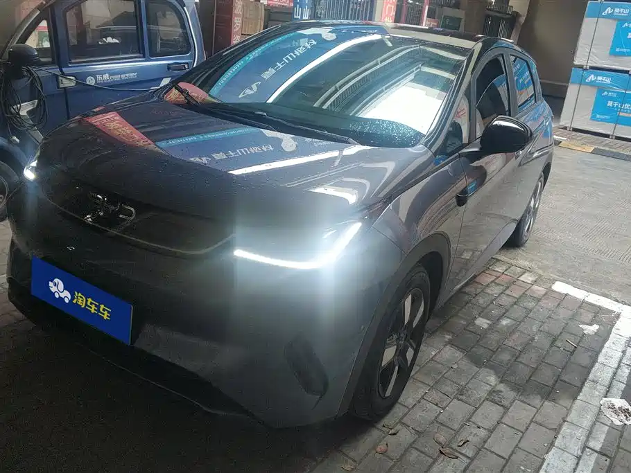 BYD Dolphin 2025