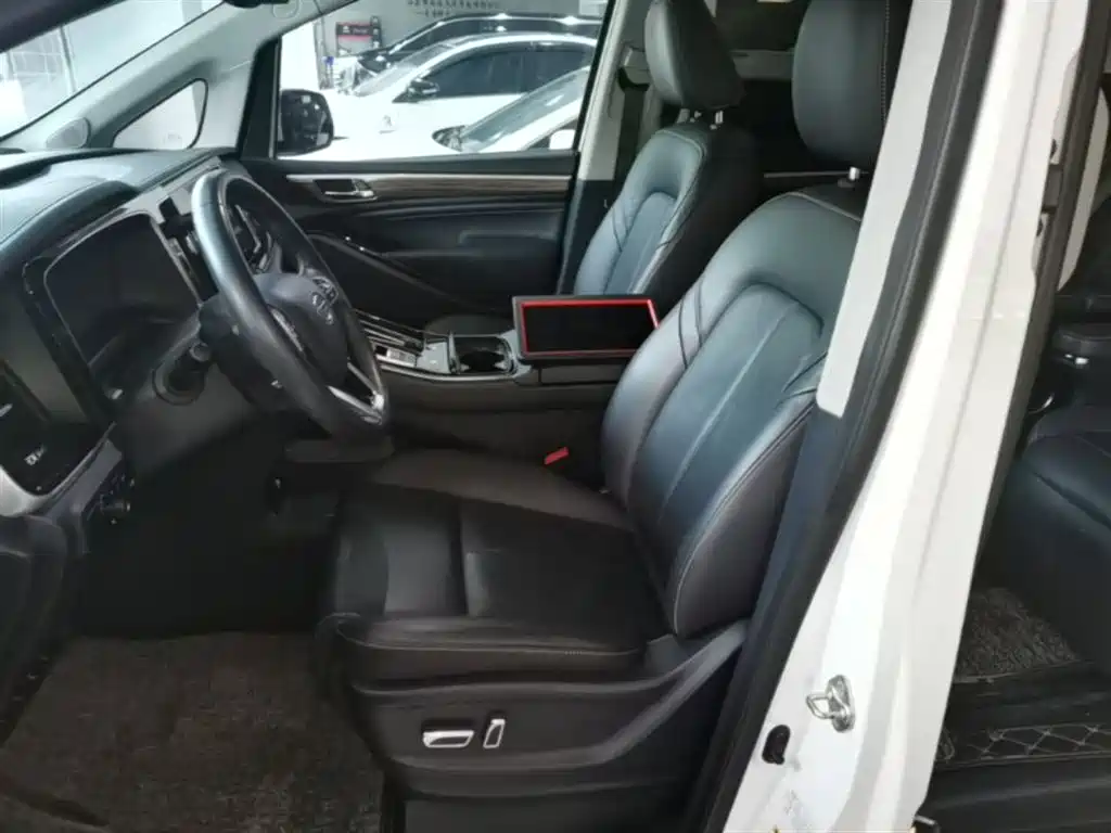 GAC Motor Trumpchi M8 2021 — фото 15