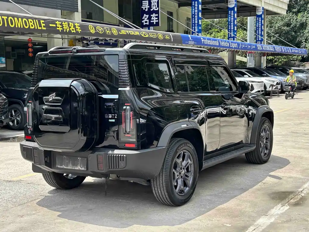 Shanhai Traveller C-DM 2024 — фото 6