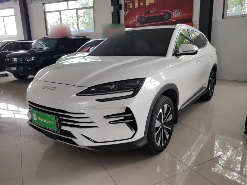 BYD PLUS New Energy 2025