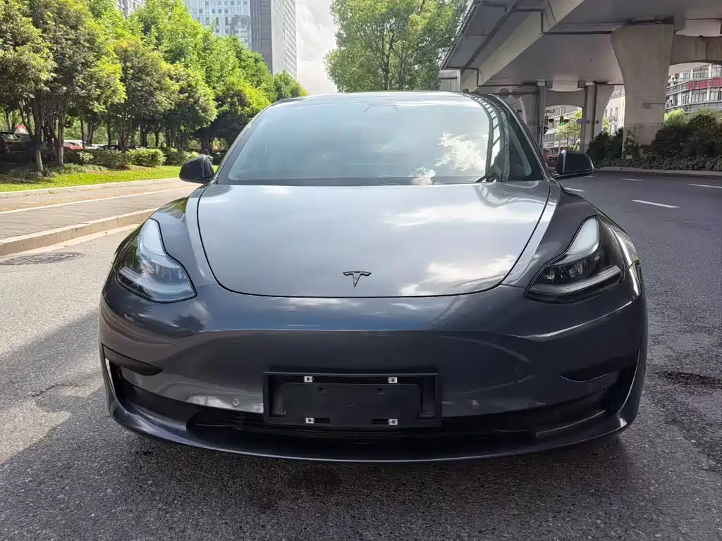 Tesla Model 3 2021 — фото 2