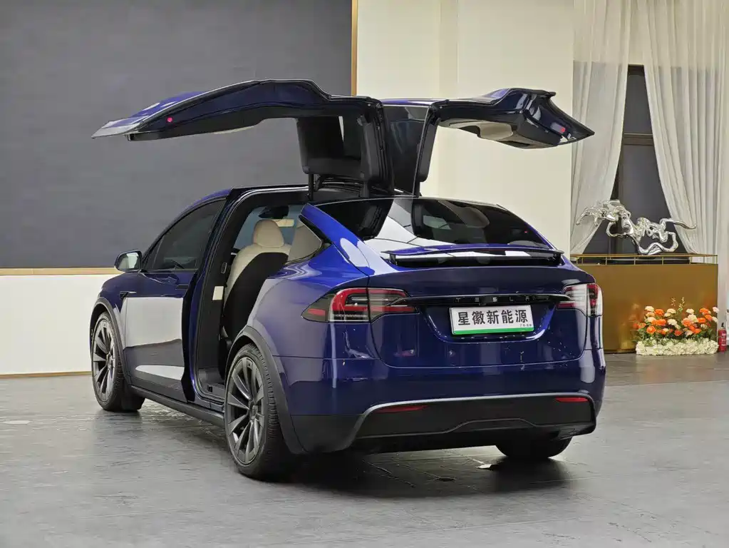 Tesla Model X 2023 — фото 20