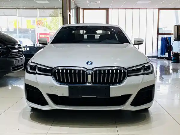 BMW 5 Series New Energy 2021