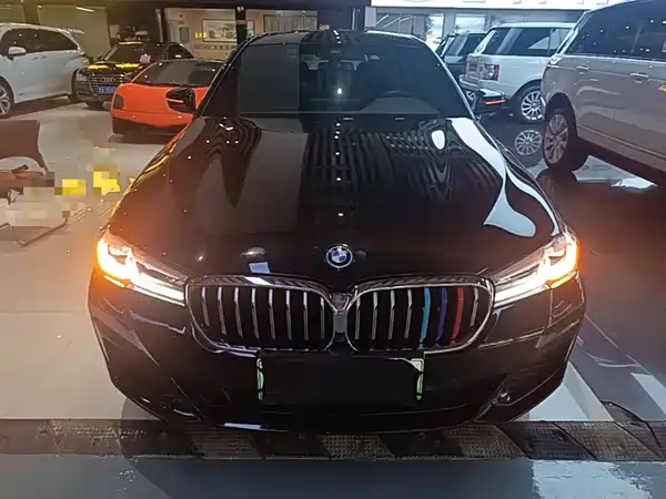 BMW 5 Series New Energy 2024