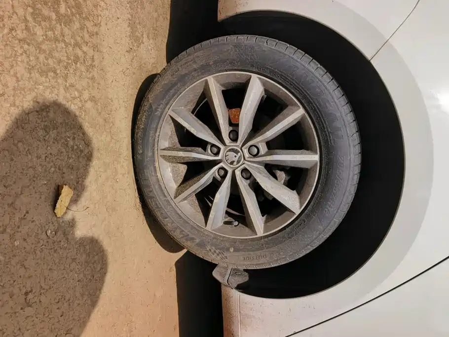 Skoda Octavia 2019
