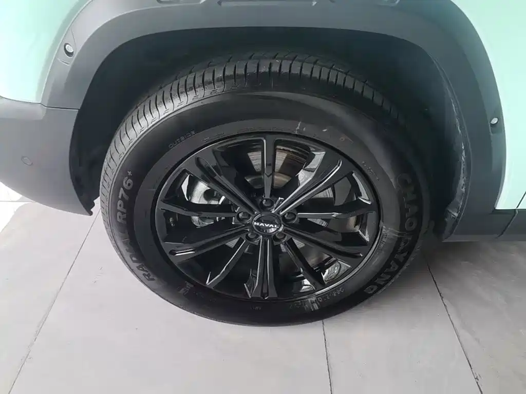 Haval Raptors New Energy 2025 — фото 23