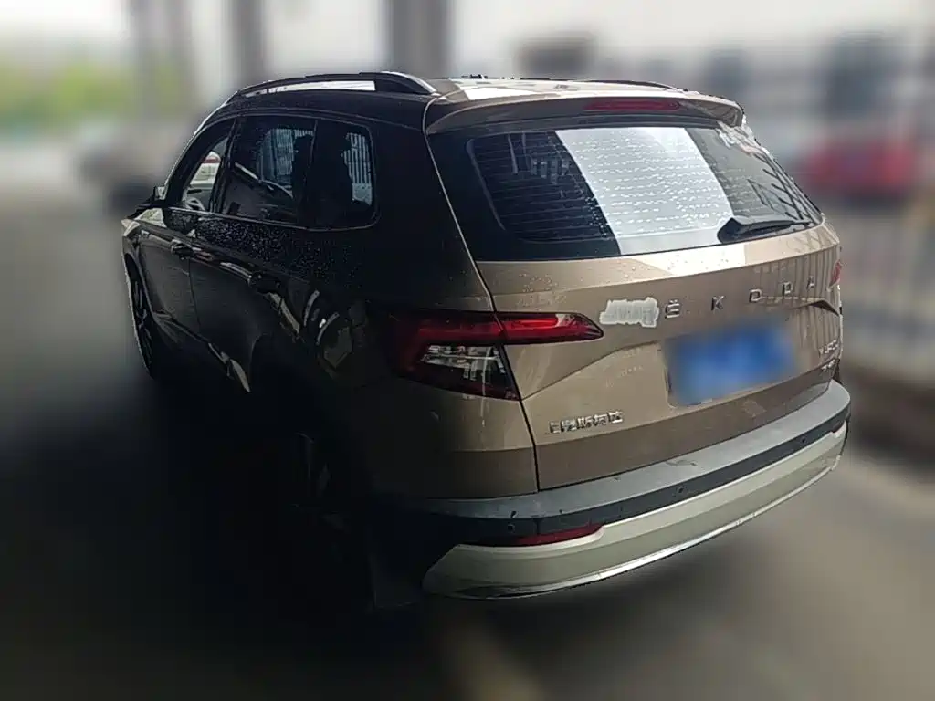 Skoda Karoq 2019 — фото 9
