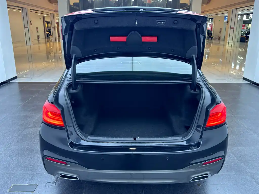 BMW 5 Series 2018 — фото 13
