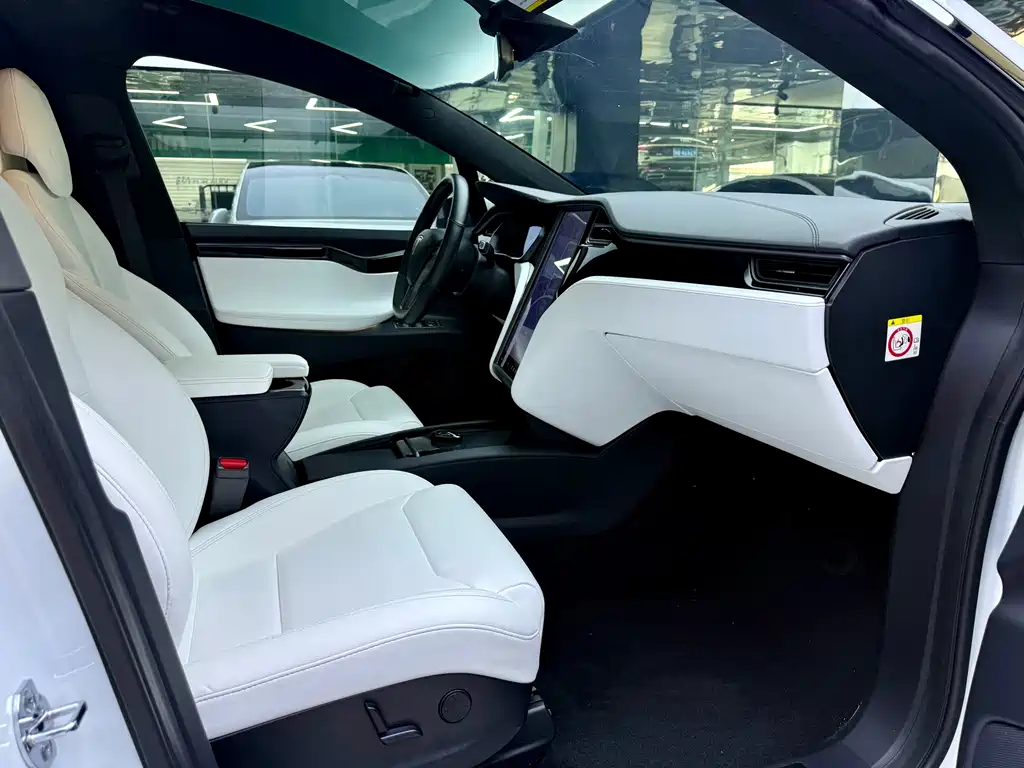 Tesla Model X 2019 — фото 11