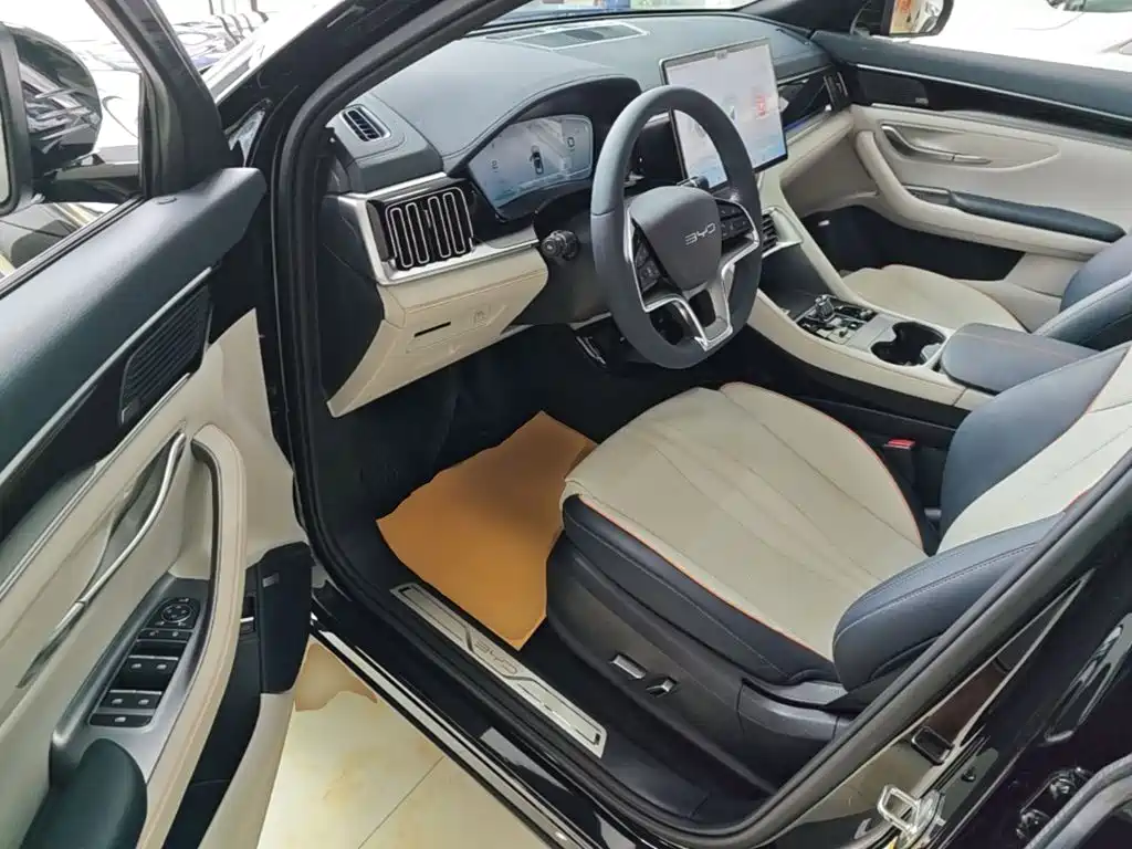 BYD Song PLUS New Energy 2023 — фото 16