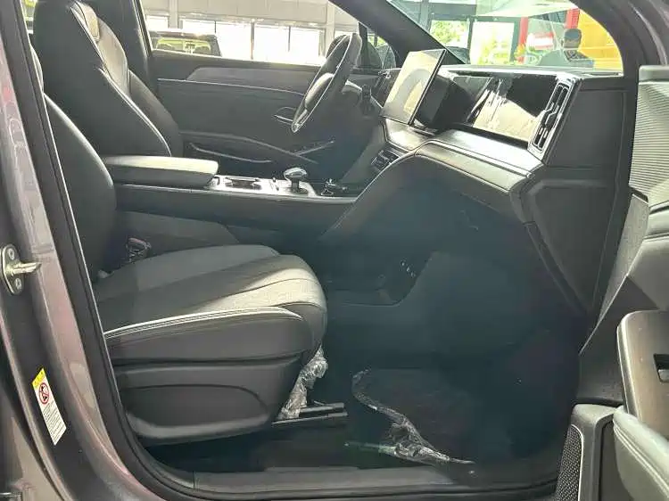 BYD L DM-i 2025 — фото 18