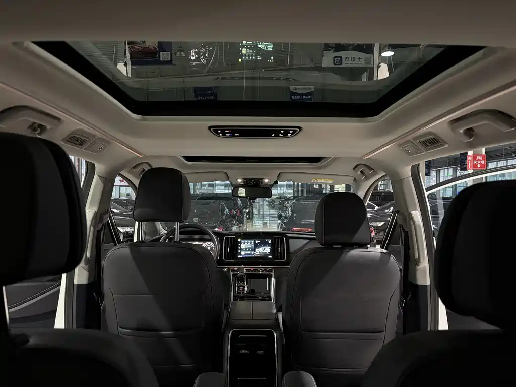 GAC Motor Trumpchi M8 2021 — фото 14