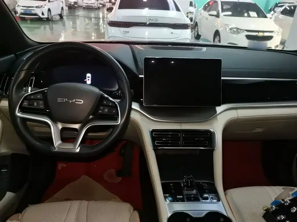 BYD PLUS New Energy 2024 — фото 10