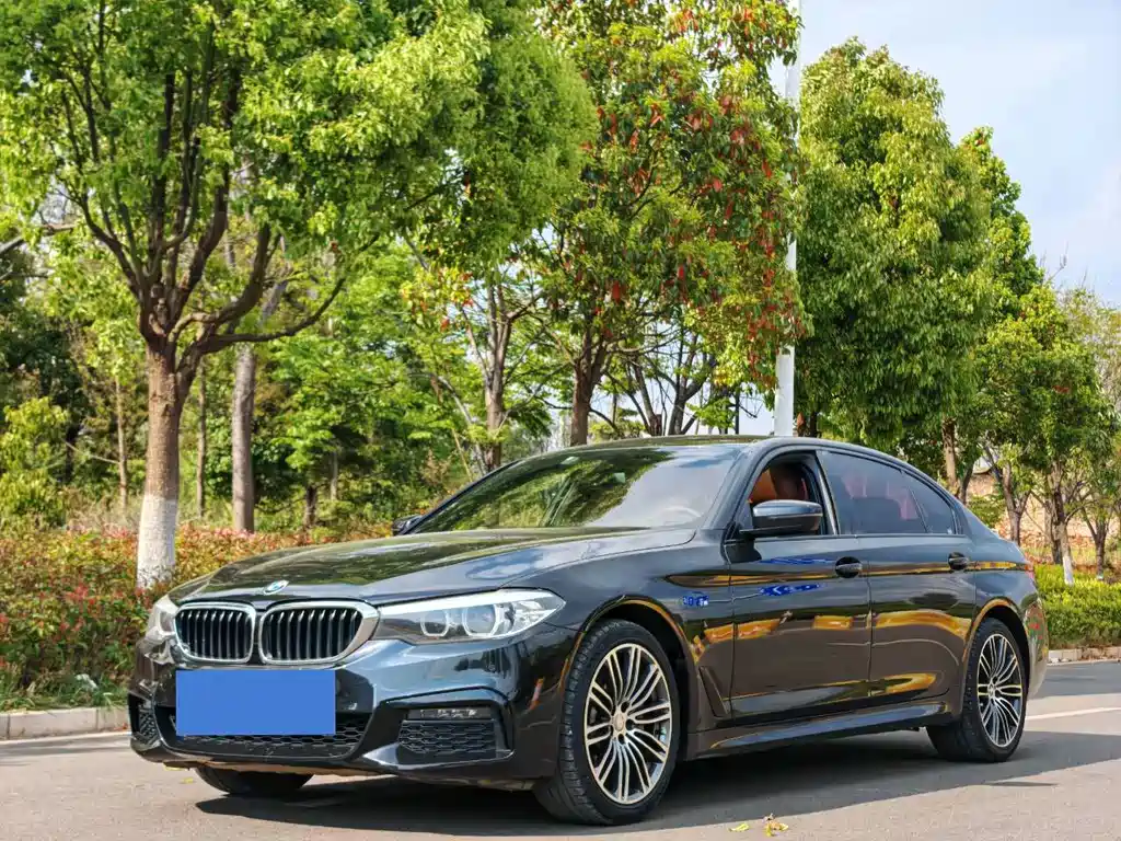 BMW 5 Series 2019
