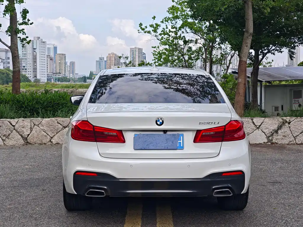BMW 5 Series 2019 — фото 14