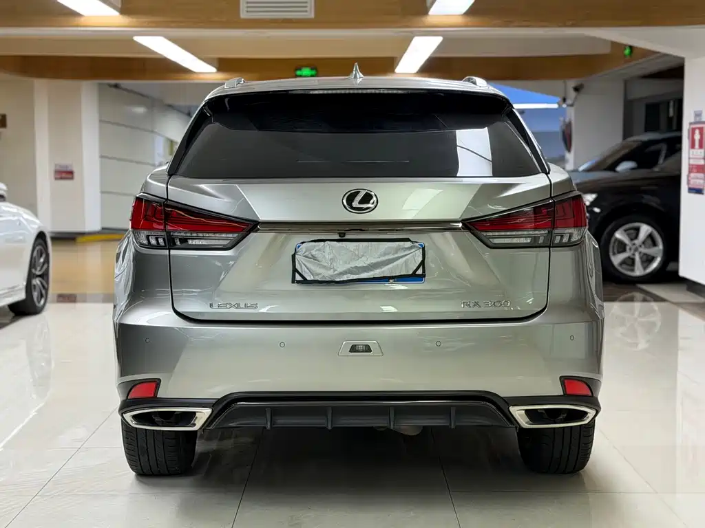 Lexus RX 2020 — фото 8