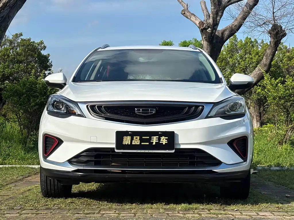 Geely Emgrand GS 2020 — фото 3